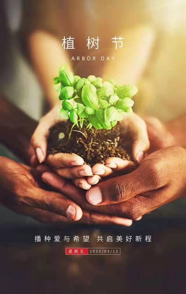 豪彩vip涂装：播种希望，静待春暖花开